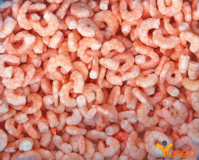 IQF KING PRAWNS