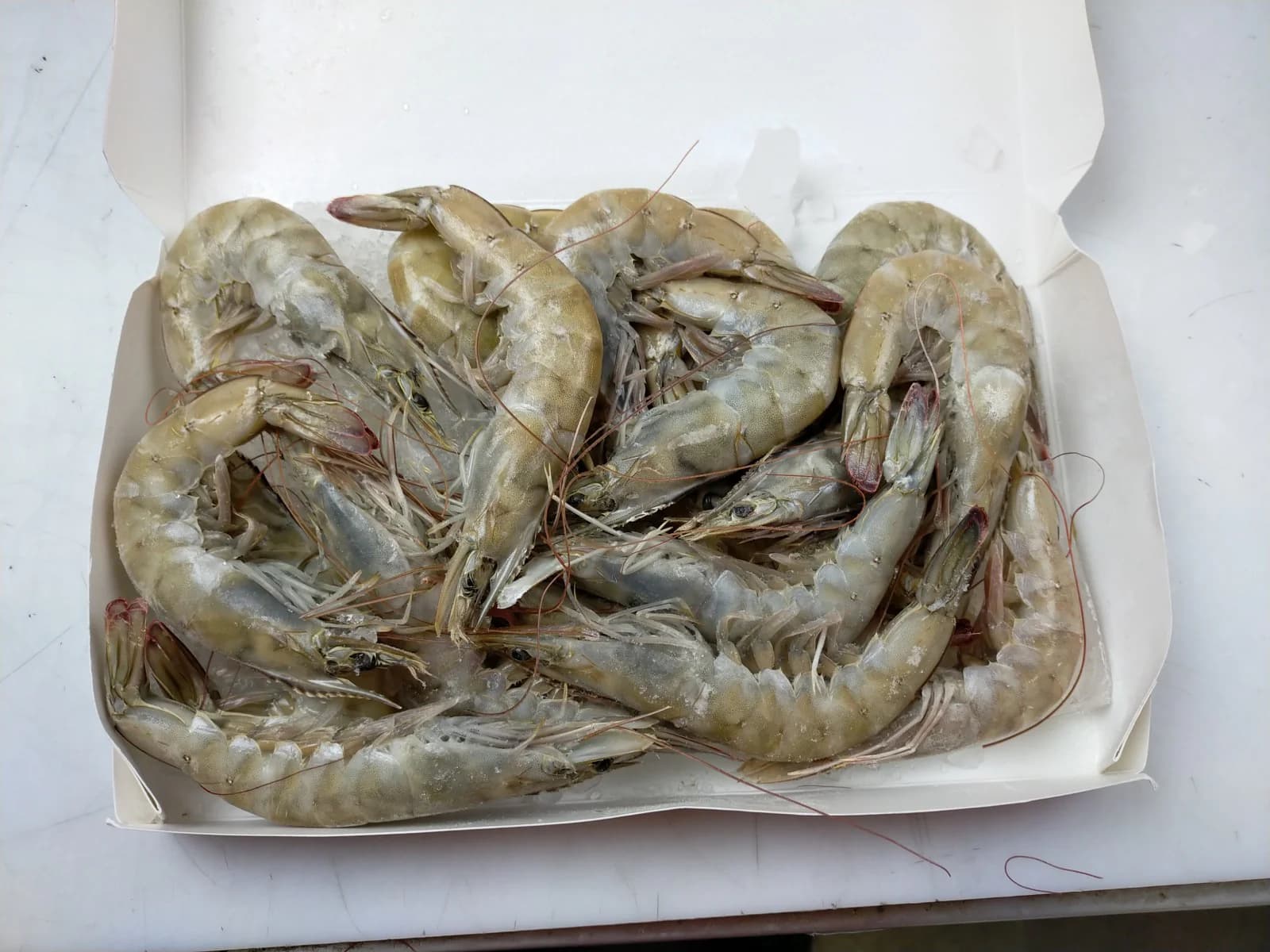 VANNAMEI HEAD ON Think GG Cash & Carry